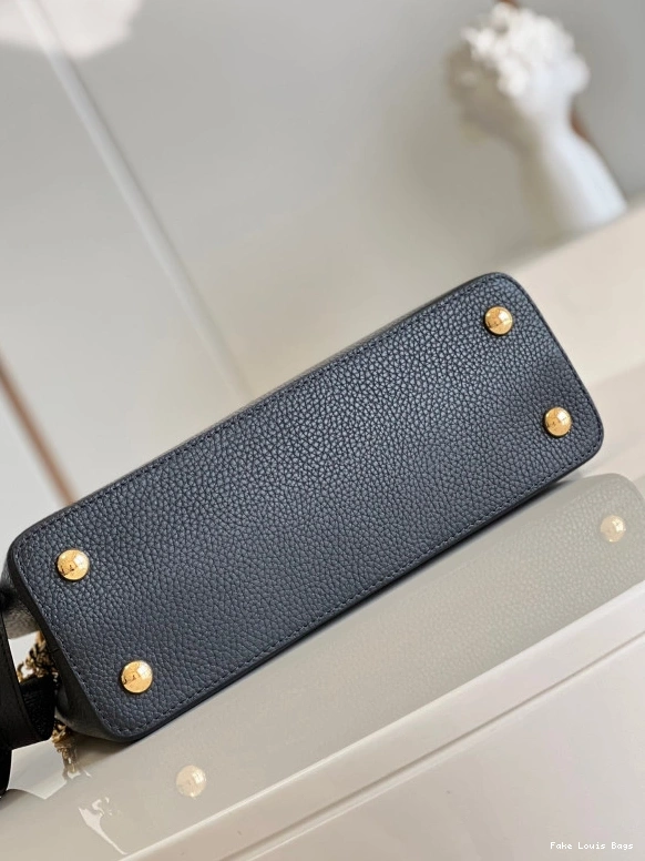 Fake Louis Bags VUITTON CAPUCINES MM LOUIS 0818